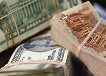 سعر الدولار اليوم فى البنوك المصريه