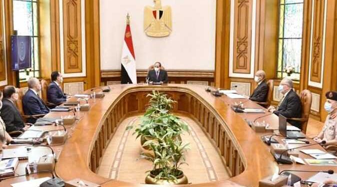 مجلس الوزراء: مصر من أكبر منتجي الطاقة المتجددة فى أفريقيا منذ 2010