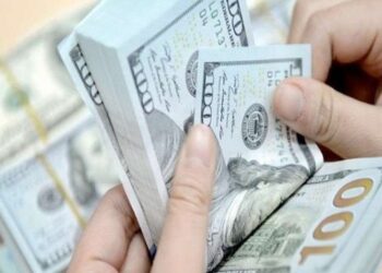 سعر الدولار اليوم الثلاثاء 15 نوفمبر 2022 مقابل الجنيه المصرى