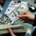 هبوط سعر الدولار في مصر الآن .. تعرف على سعر البيع والشراء داخل البنوك