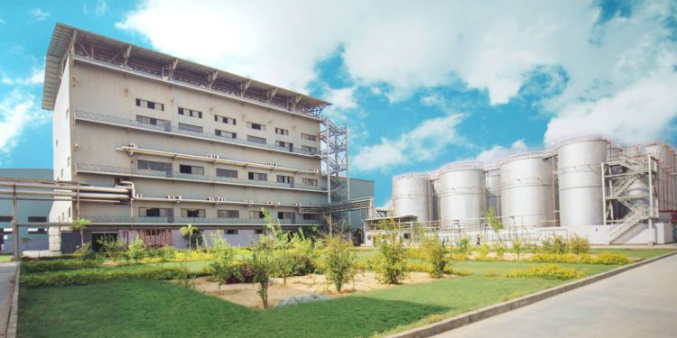 قبل نهاية 2025.. مصر تستعد لإدراج شهادات الطاقة النظيفة في بورصة المناخ العالمية