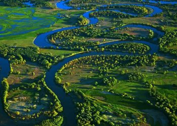 الأراضي الرطبة في العالم تفقد خُمس مساحتها وفق تحذيرات علمية