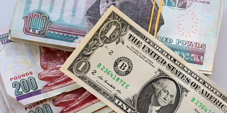 الدولار مقابل الجنيه المصري.. أسعار اليوم الأحد 24-8-2025